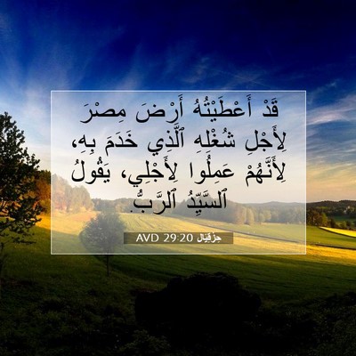 Picture 07 - حِزْقِيَال 29:20 AVD - قَدْ أَعْطَيْتُهُ أَرْضَ - Bible Verse Picture