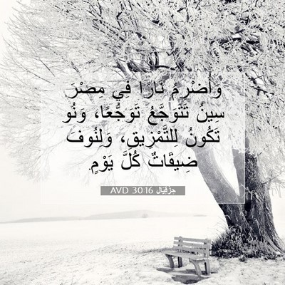 Picture 07 - حِزْقِيَال 30:16 AVD - وَأُضْرِمُ نَارًا فِي - Bible Verse Picture