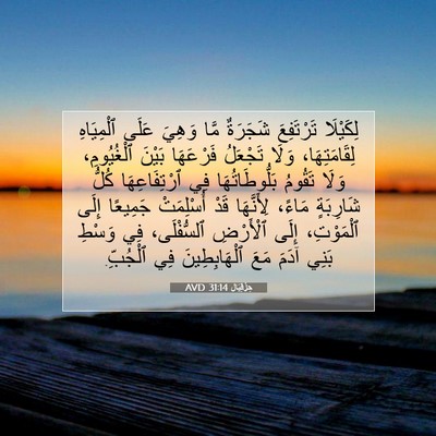 Picture 07 - حِزْقِيَال 31:14 AVD - لِكَيْلَا تَرْتَفِعَ - Bible Verse Picture
