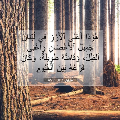 Picture 07 - حِزْقِيَال 31:3 AVD - هُوَذَا أَعْلَى ٱلْأَرْزِ - Bible Verse Picture