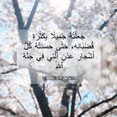 Picture 07 - حِزْقِيَال 31:9 AVD - جَعَلْتُهُ جَمِيلًا - Bible Verse Picture