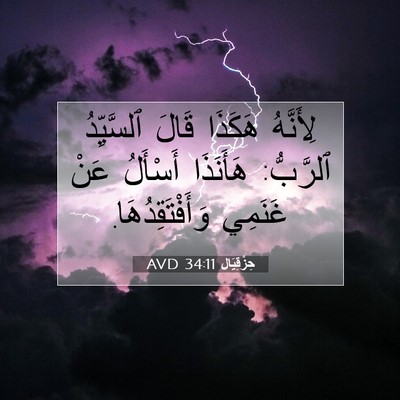 Picture 07 - حِزْقِيَال 34:11 AVD - لِأَنَّهُ هَكَذَا قَالَ - Bible Verse Picture