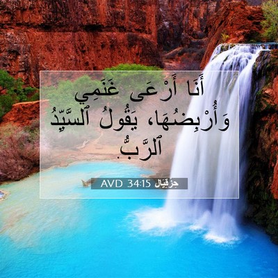 Picture 07 - حِزْقِيَال 34:15 AVD - أَنَا أَرْعَى غَنَمِي - Bible Verse Picture
