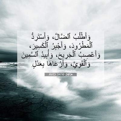 Picture 07 - حِزْقِيَال 34:16 AVD - وَأَطْلُبُ ٱلضَّالَّ، - Bible Verse Picture