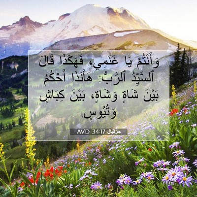 Picture 07 - حِزْقِيَال 34:17 AVD - وَأَنْتُمْ يَا غَنَمِي، - Bible Verse Picture