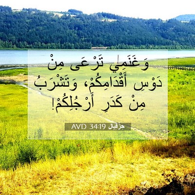 Picture 07 - حِزْقِيَال 34:19 AVD - وَغَنَمِي تَرْعَى مِنْ - Bible Verse Picture