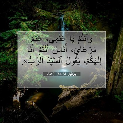 Picture 07 - حِزْقِيَال 34:31 AVD - وَأَنْتُمْ يَا غَنَمِي، - Bible Verse Picture