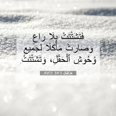Picture 07 - حِزْقِيَال 34:5 AVD - فَتَشَتَّتَتْ بِلَا رَاعٍ - Bible Verse Picture