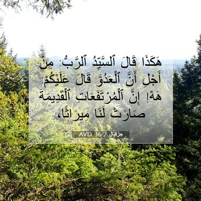 Picture 07 - حِزْقِيَال 36:2 AVD - هَكَذَا قَالَ ٱلسَّيِّدُ - Bible Verse Picture