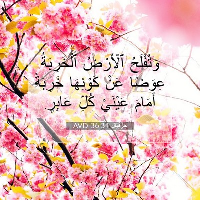 Picture 07 - حِزْقِيَال 36:34 AVD - وَتُفْلَحُ ٱلْأَرْضُ - Bible Verse Picture