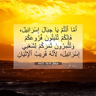 Picture 07 - حِزْقِيَال 36:8 AVD - أَمَّا أَنْتُمْ يَا - Bible Verse Picture