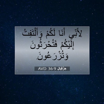 Picture 07 - حِزْقِيَال 36:9 AVD - لِأَنِّي أَنَا لَكُمْ - Bible Verse Picture