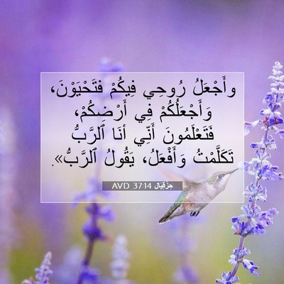 Picture 07 - حِزْقِيَال 37:14 AVD - وأَجْعَلُ رُوحِي فِيكُمْ - Bible Verse Picture