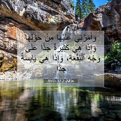 Picture 07 - حِزْقِيَال 37:2 AVD - وَأَمَرَّنِي عَلَيْهَا - Bible Verse Picture