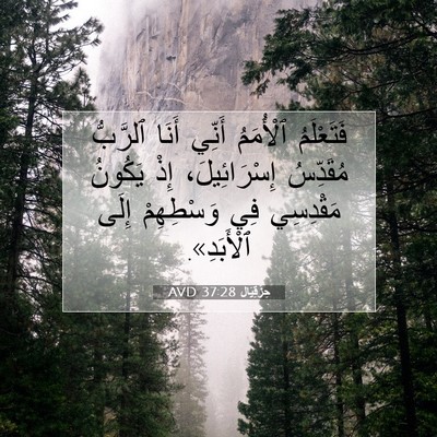 Picture 07 - حِزْقِيَال 37:28 AVD - فَتَعْلَمُ ٱلْأُمَمُ - Bible Verse Picture