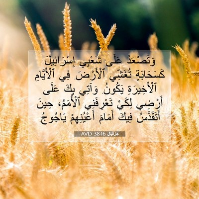 Picture 07 - حِزْقِيَال 38:16 AVD - وَتَصْعَدُ عَلَى شَعْبِي - Bible Verse Picture
