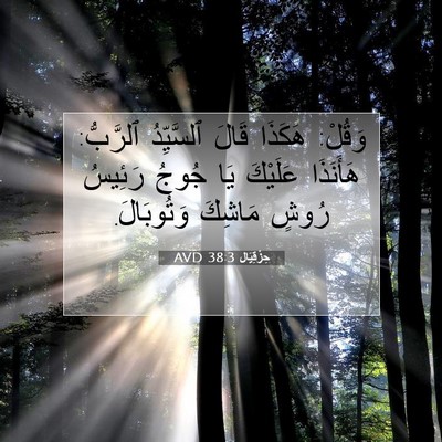 Picture 07 - حِزْقِيَال 38:3 AVD - وَقُلْ: هَكَذَا قَالَ - Bible Verse Picture