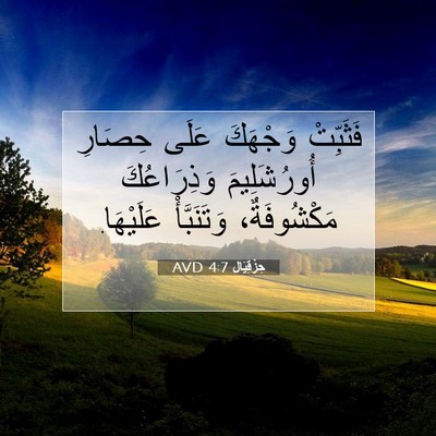 Picture 07 - حِزْقِيَال 4:7 AVD - فَثَبِّتْ وَجْهَكَ عَلَى - Bible Verse Picture