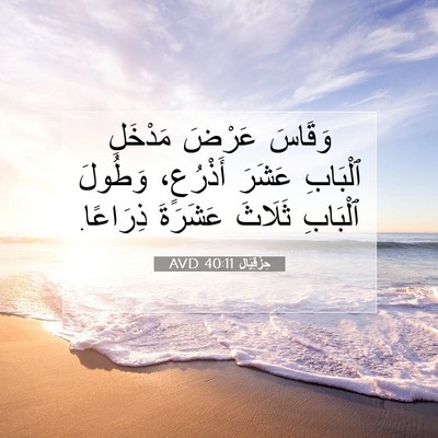 Picture 07 - حِزْقِيَال 40:11 AVD - وَقَاسَ عَرْضَ مَدْخَلِ - Bible Verse Picture