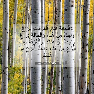 Picture 07 - حِزْقِيَال 40:12 AVD - وَٱلْحَافَّةُ أَمَامَ - Bible Verse Picture