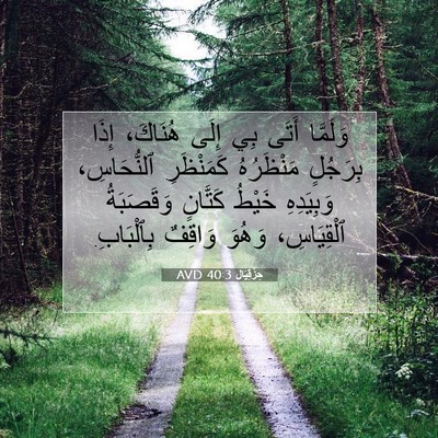 Picture 07 - حِزْقِيَال 40:3 AVD - وَلَمَّا أَتَى بِي إِلَى - Bible Verse Picture