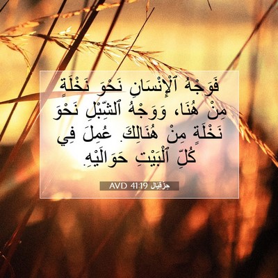 Picture 07 - حِزْقِيَال 41:19 AVD - فَوَجْهُ ٱلْإِنْسَانِ - Bible Verse Picture