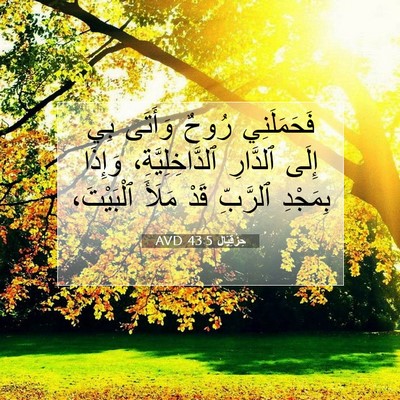 Picture 07 - حِزْقِيَال 43:5 AVD - فَحَمَلَنِي رُوحٌ وَأَتَى - Bible Verse Picture