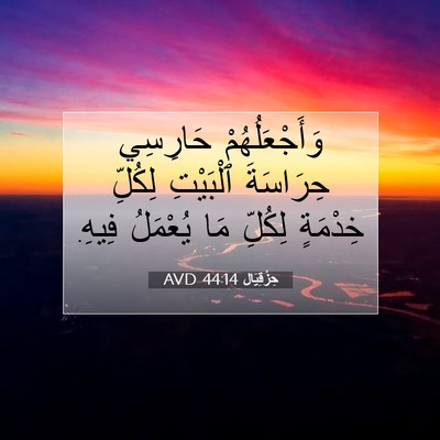 Picture 07 - حِزْقِيَال 44:14 AVD - وَأَجْعَلُهُمْ حَارِسِي - Bible Verse Picture