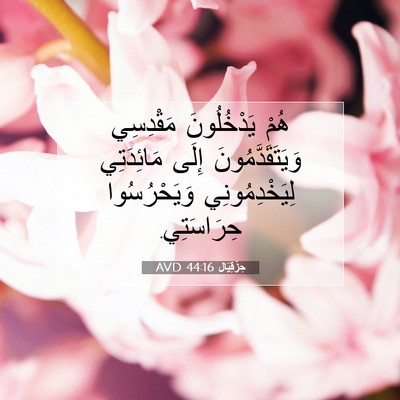Picture 07 - حِزْقِيَال 44:16 AVD - هُمْ يَدْخُلُونَ - Bible Verse Picture