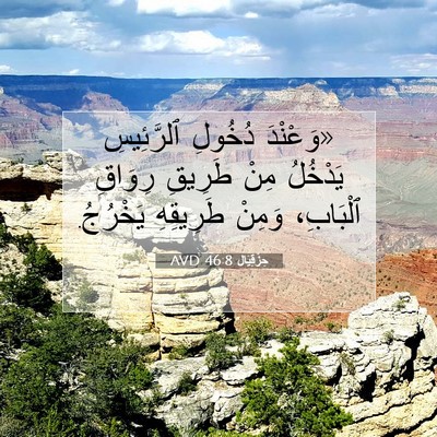Picture 07 - حِزْقِيَال 46:8 AVD - «وَعْنْدَ دُخُولِ - Bible Verse Picture