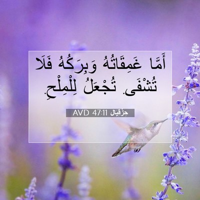 Picture 07 - حِزْقِيَال 47:11 AVD - أَمَّا غَمِقَاتُهُ - Bible Verse Picture