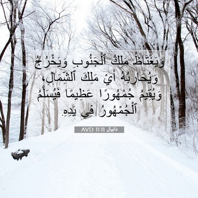 Picture 07 - دَانِيآل 11:11 AVD - وَيَغْتَاظُ مَلِكُ - Bible Verse Picture