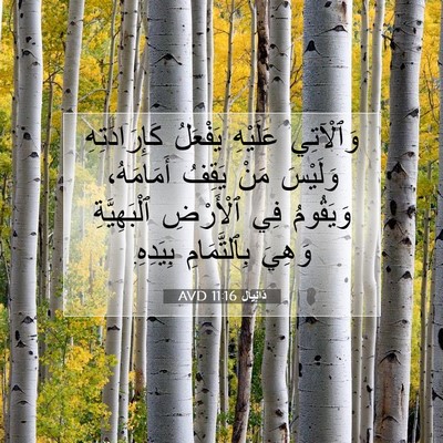 Picture 07 - دَانِيآل 11:16 AVD - وَٱلْآتِي عَلَيْهِ - Bible Verse Picture