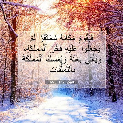Picture 07 - دَانِيآل 11:21 AVD - فَيَقُومُ مَكَانَهُ - Bible Verse Picture
