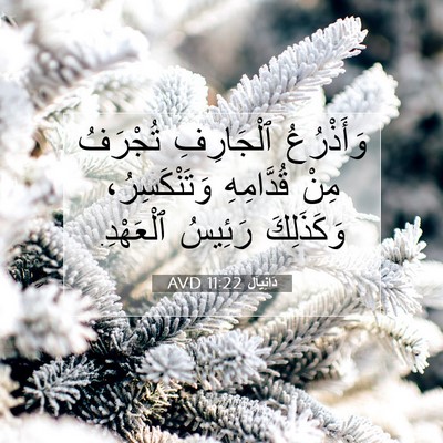 Picture 07 - دَانِيآل 11:22 AVD - وَأَذْرُعُ ٱلْجَارِفِ - Bible Verse Picture