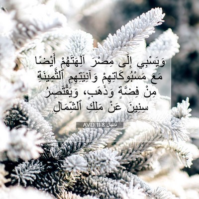 Picture 07 - دَانِيآل 11:8 AVD - وَيَسْبِي إِلَى مِصْرَ - Bible Verse Picture