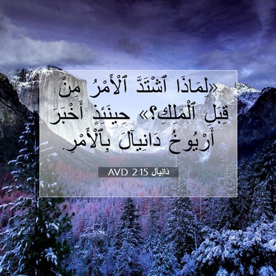 Picture 07 - دَانِيآل 2:15 AVD - «لِمَاذَا ٱشْتَدَّ - Bible Verse Picture