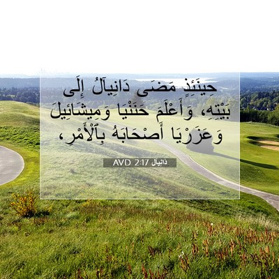 Picture 07 - دَانِيآل 2:17 AVD - حِينَئِذٍ مَضَى دَانِيآلُ - Bible Verse Picture