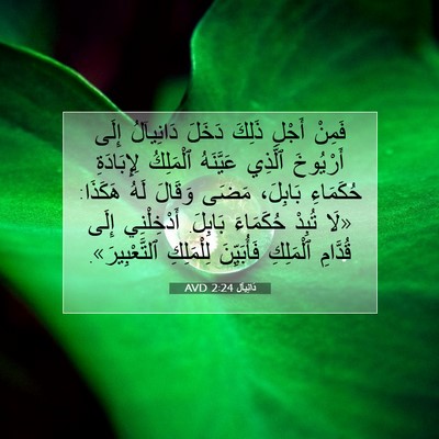 Picture 07 - دَانِيآل 2:24 AVD - فَمِنْ أَجْلِ ذَلِكَ - Bible Verse Picture