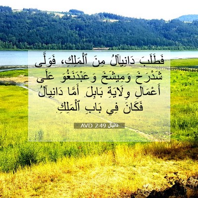 Picture 07 - دَانِيآل 2:49 AVD - فَطَلَبَ دَانِيآلُ مِنَ - Bible Verse Picture