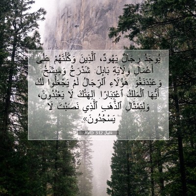Picture 07 - دَانِيآل 3:12 AVD - يُوجَدُ رِجَالٌ يَهُودٌ، - Bible Verse Picture
