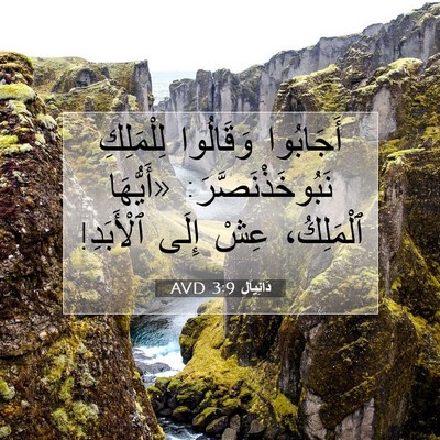 Picture 07 - دَانِيآل 3:9 AVD - أَجَابُوا وَقَالُوا - Bible Verse Picture