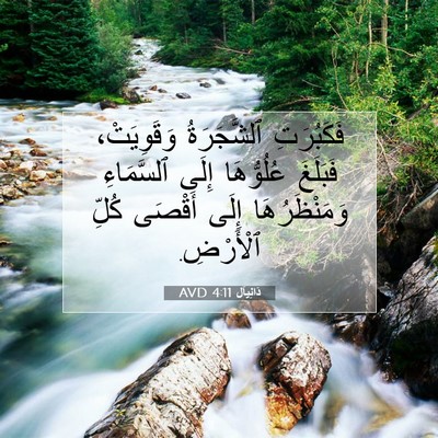 Picture 07 - دَانِيآل 4:11 AVD - فَكَبُرَتِ ٱلشَّجَرَةُ - Bible Verse Picture