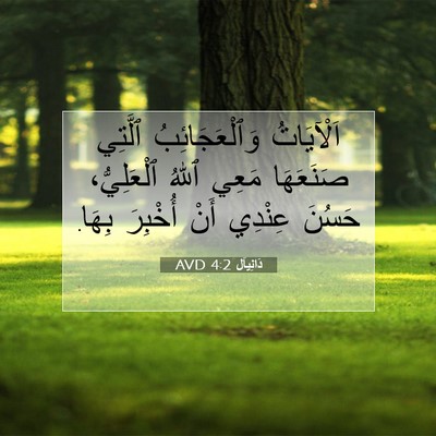 Picture 07 - دَانِيآل 4:2 AVD - اَلْآيَاتُ وَٱلْعَجَائِبُ - Bible Verse Picture