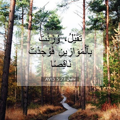 Picture 07 - دَانِيآل 5:27 AVD - تَقَيْلُ، وُزِنْتَ - Bible Verse Picture