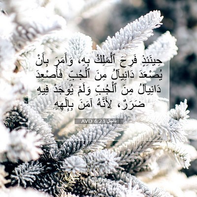 Picture 07 - دَانِيآل 6:23 AVD - حِينَئِذٍ فَرِحَ - Bible Verse Picture