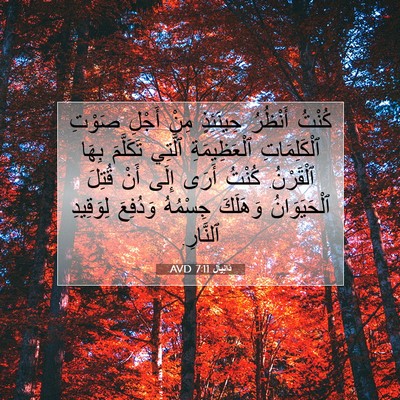 Picture 07 - دَانِيآل 7:11 AVD - كُنْتُ أَنْظُرُ حِينَئِذٍ - Bible Verse Picture