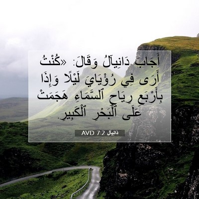 Picture 07 - دَانِيآل 7:2 AVD - أَجَابَ دَانِيآلُ وَقَالَ: - Bible Verse Picture