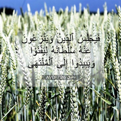 Picture 07 - دَانِيآل 7:26 AVD - فَيَجْلِسُ ٱلدِّينُ - Bible Verse Picture