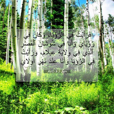 Picture 07 - دَانِيآل 8:2 AVD - فَرَأَيْتُ فِي - Bible Verse Picture